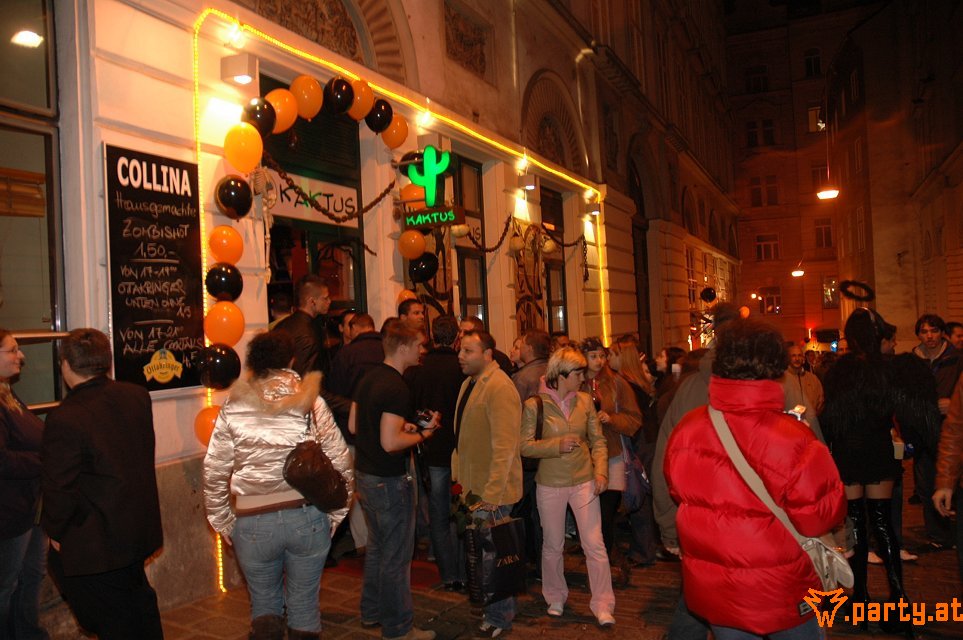 Bild 63