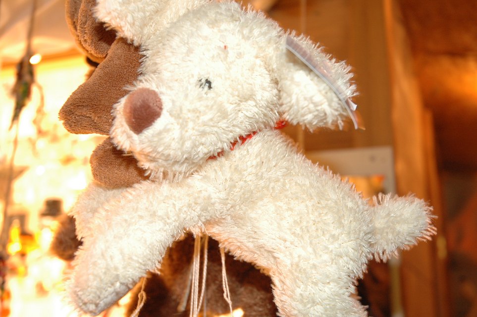 Bild 119