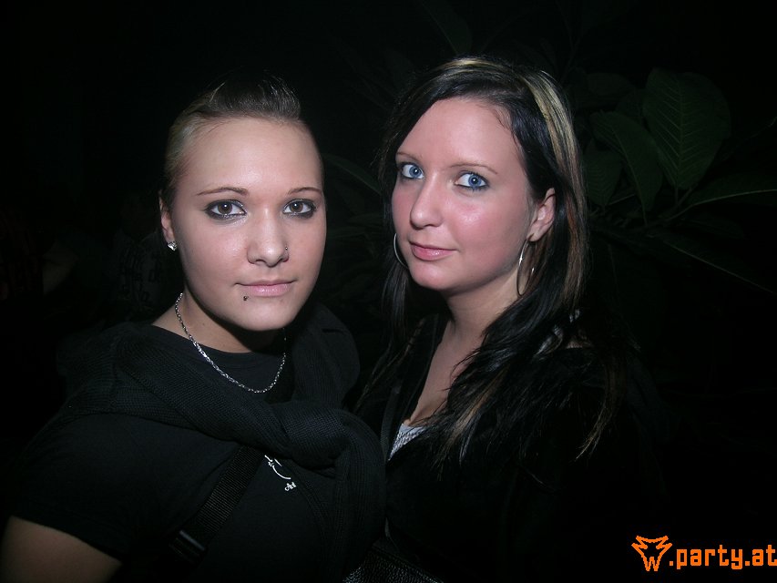 Bild 249