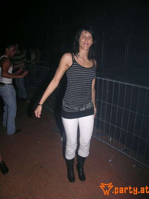 Bild 288