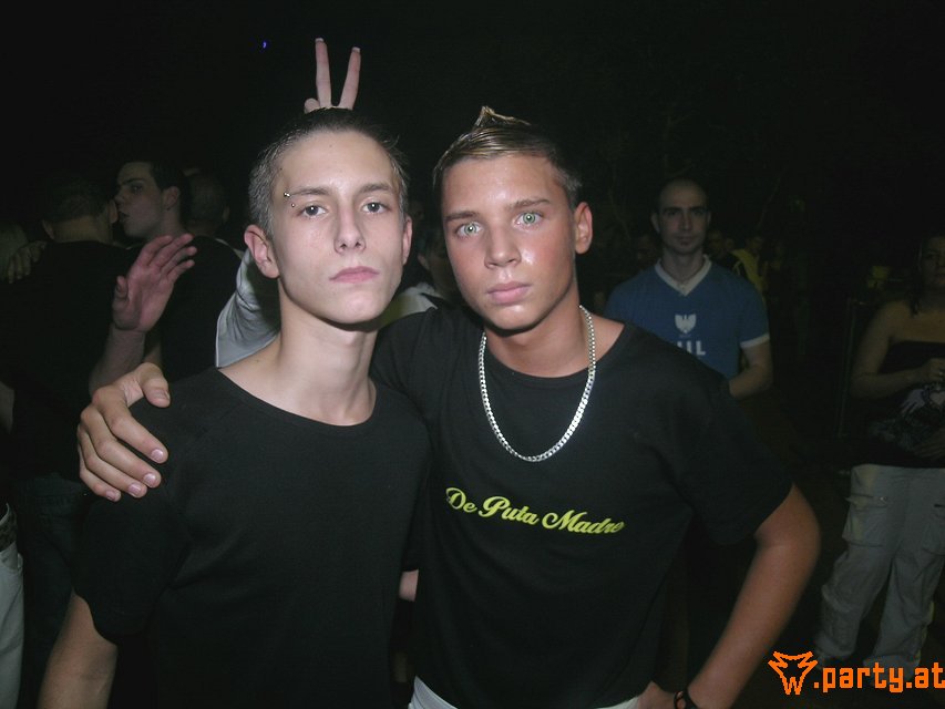 Bild 291