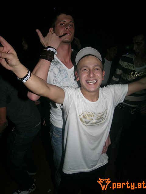 Bild 295