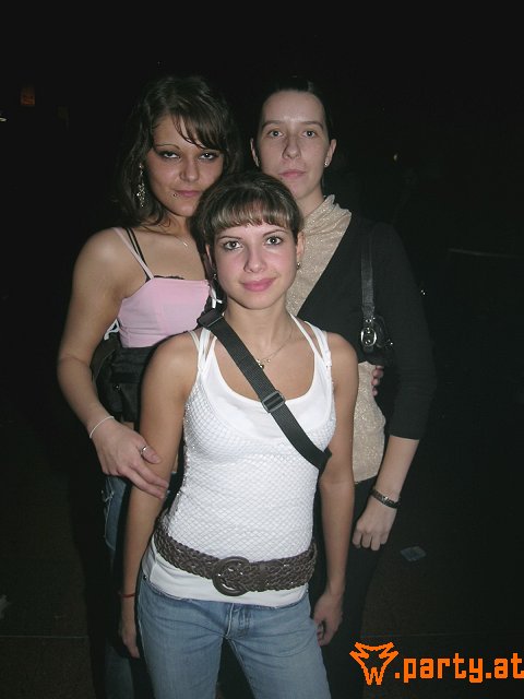 Bild 522