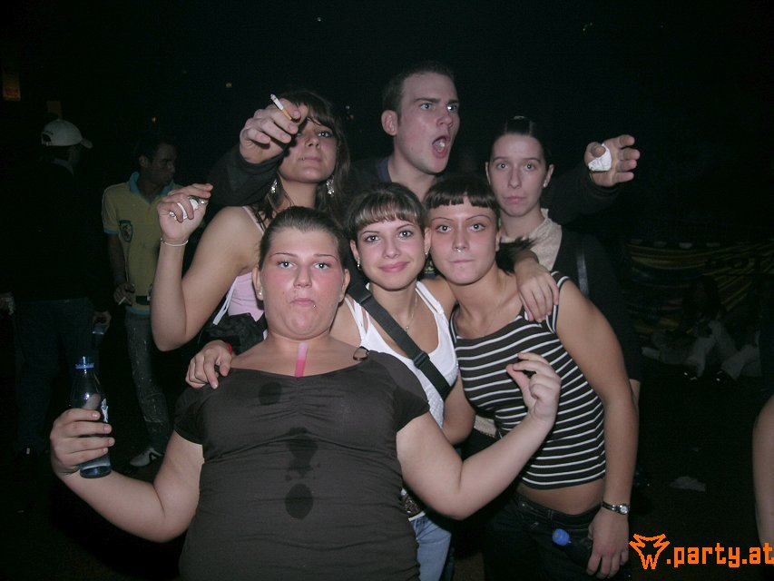 Bild 523