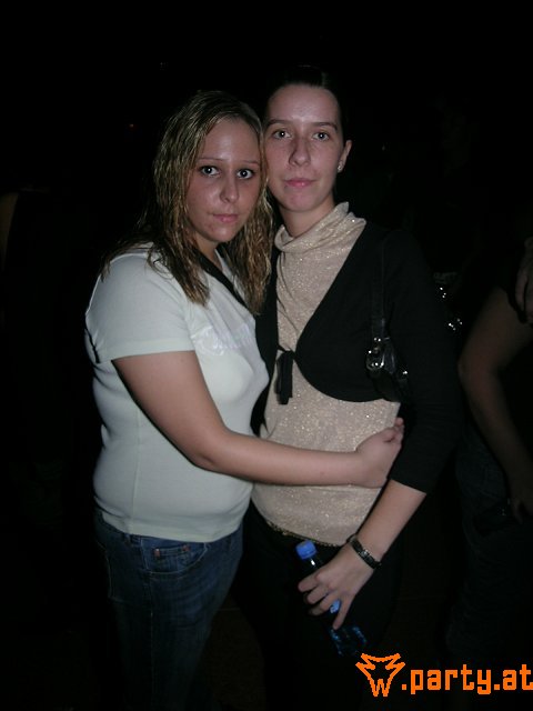 Bild 533