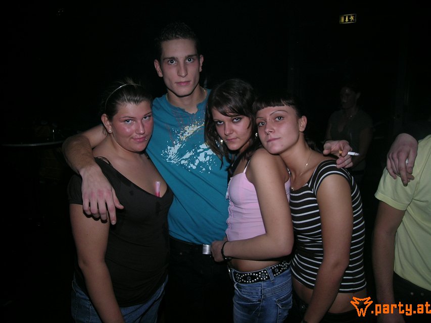Bild 534