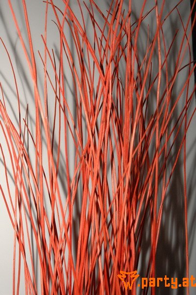 Bild 56