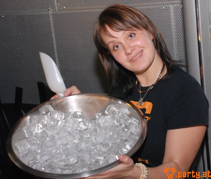 Bild 95