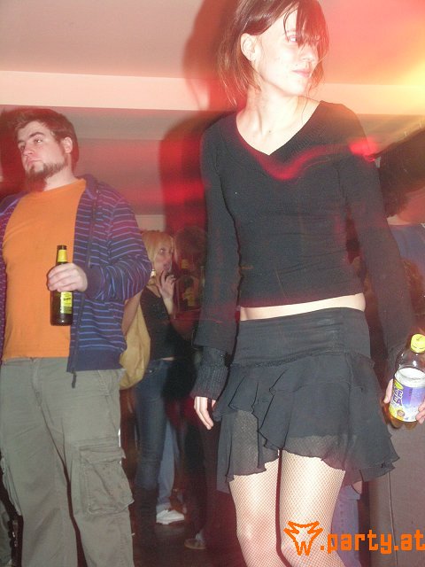 Bild 251