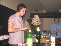 Bild 242