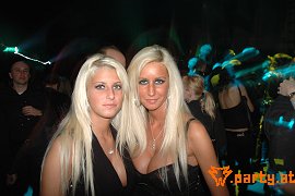 Bild 83