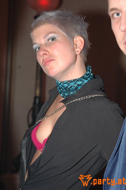 Bild 242