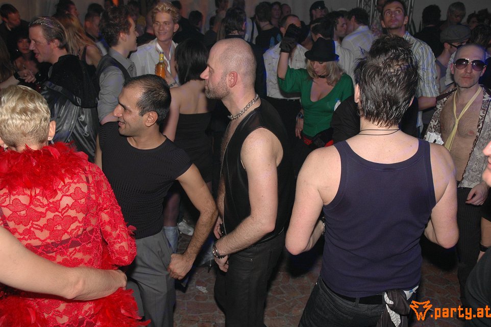 Bild 247