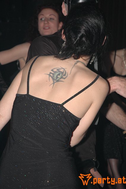 Bild 295