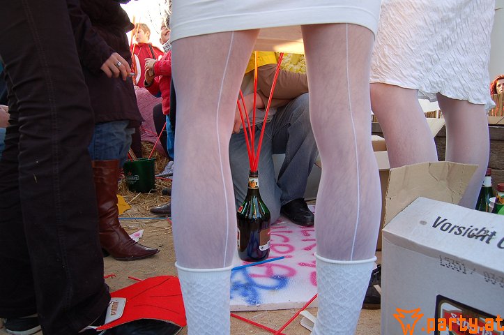 Bild 97