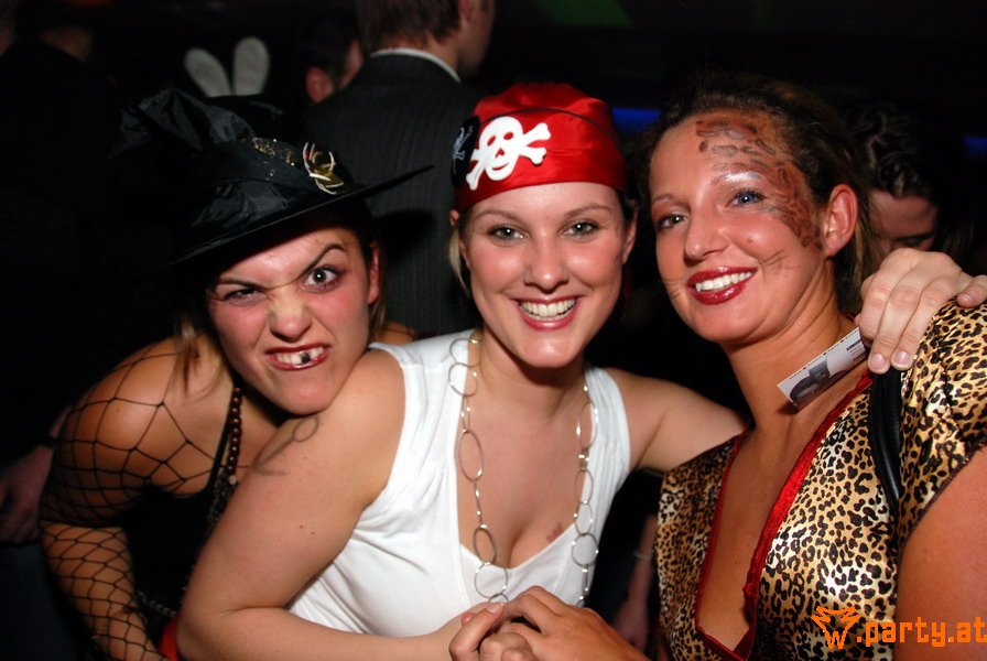 Bild 61