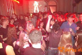 Bild 338