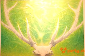 Bild 35