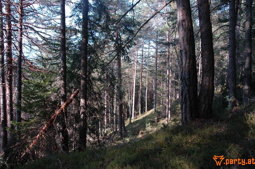 Bild 22