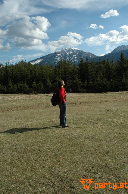 Bild 244
