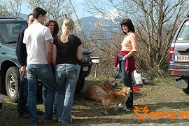 Bild 31