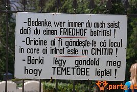 Bild 170