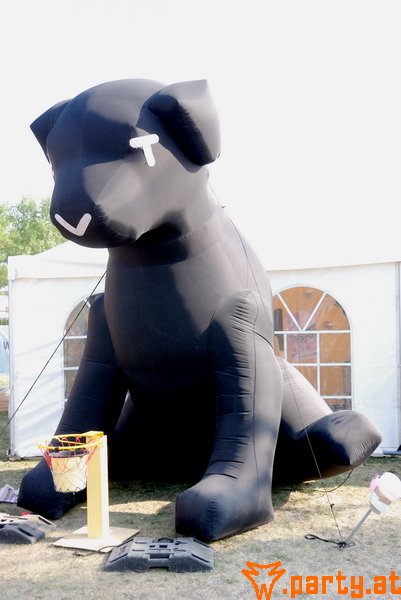 Bild 25