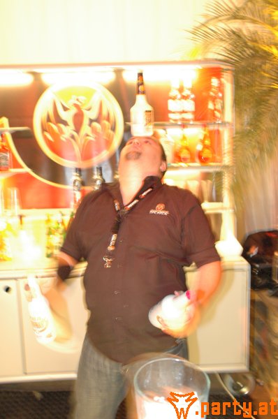 Bild 462