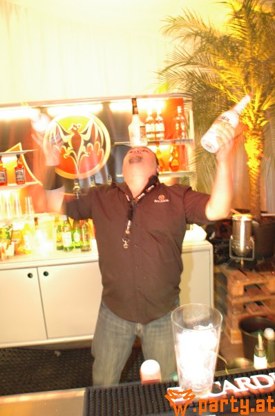 Bild 463
