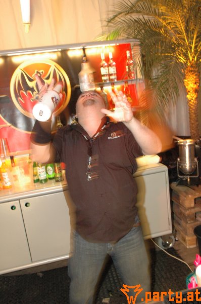 Bild 464