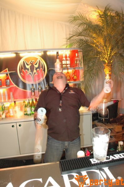 Bild 466