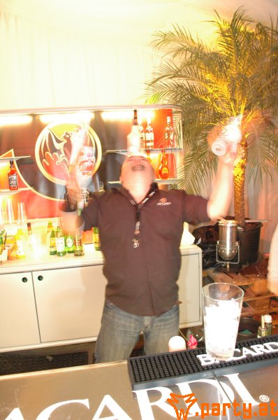 Bild 467