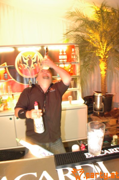 Bild 468