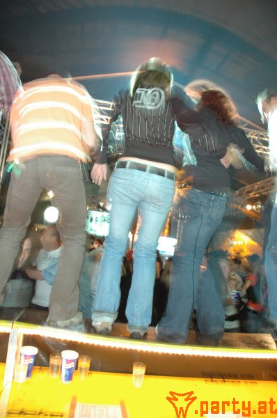 Bild 533