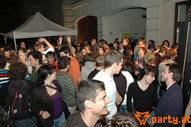 Bild 96