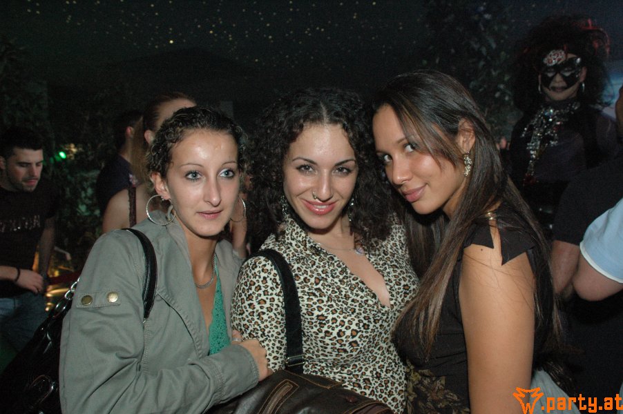 Bild 302