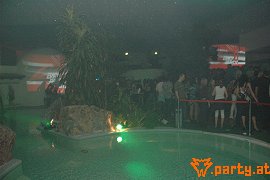 Bild 61