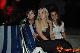 Bild 247