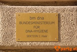 Bild 28