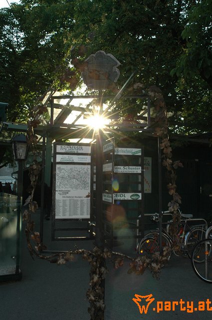 Bild 36
