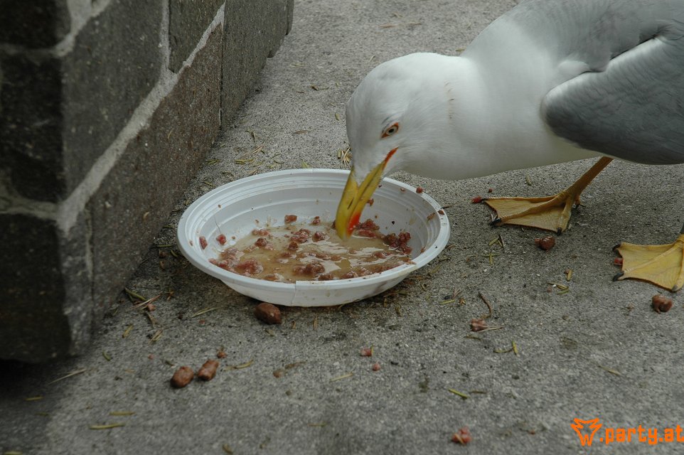 Bild 69