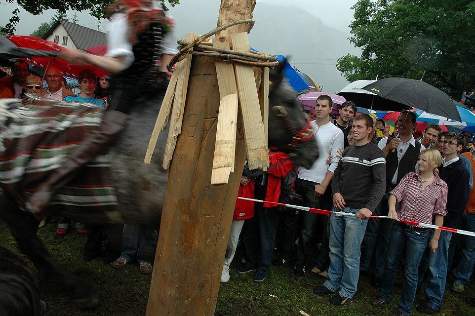 Bild 203