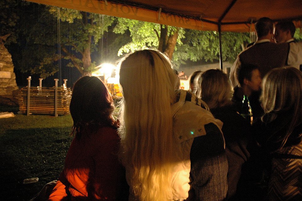 Bild 255