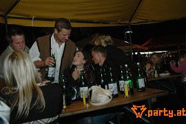 Bild 254