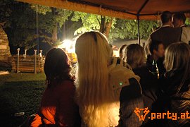 Bild 255
