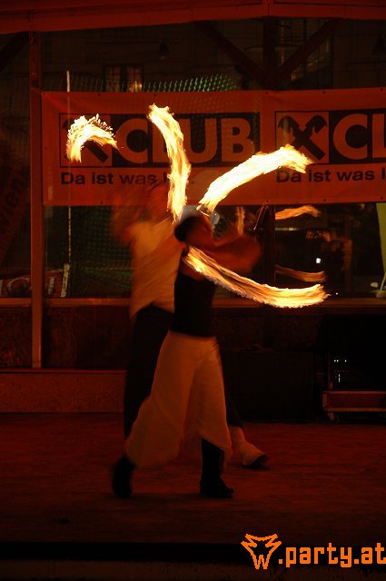 Bild 161