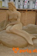 Bild 62