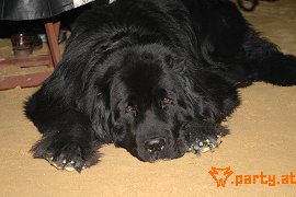 Bild 123