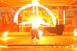 Bild 148