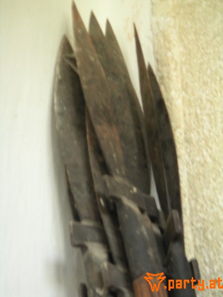 Bild 61